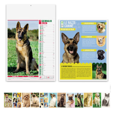 Calendari personalizzati da parete Cani e Gatti - PA108