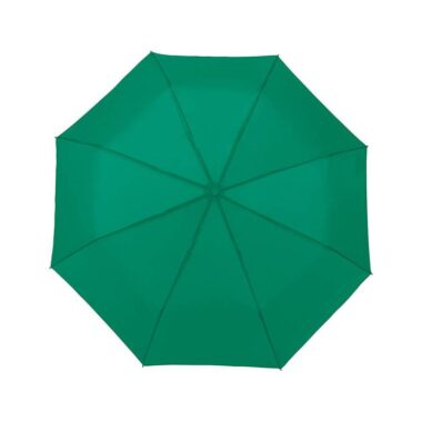 Mini Ombrello Manuale Verde con Fodero - Colorain