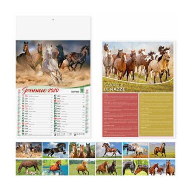 Calendario da parete illustrato cavalli