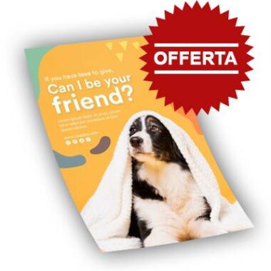 volantini in offerta