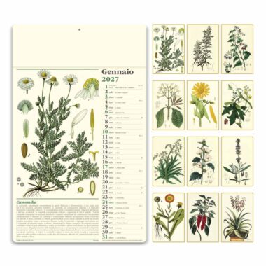 Calendario illustrato Erboristeria PA011 con tavole botaniche dei 12 mesi