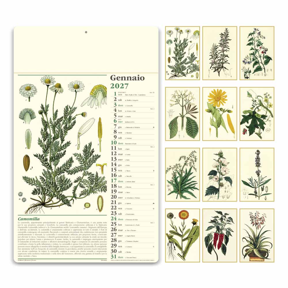 Calendario illustrato Erboristeria PA011 con tavole botaniche dei 12 mesi